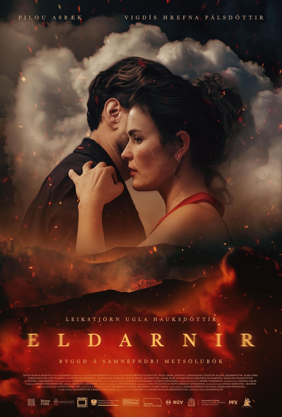 Poster of The Fires - Islandia