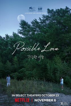 Poster Possible Love