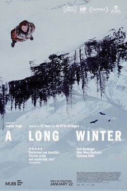 Poster A Long Winter