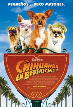 Poster Beverly Hills Chihuahua