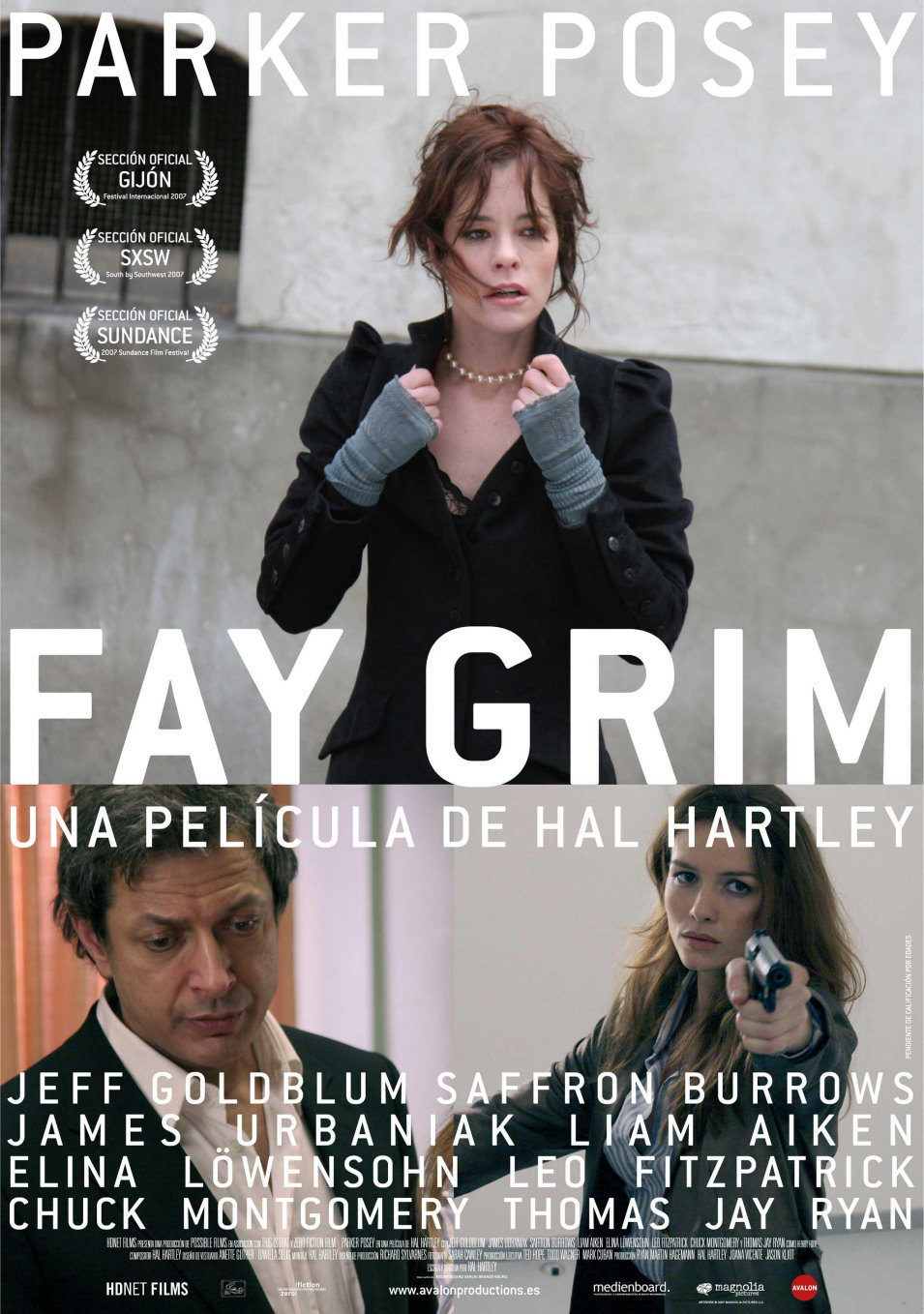 Poster of Fay Grim - España