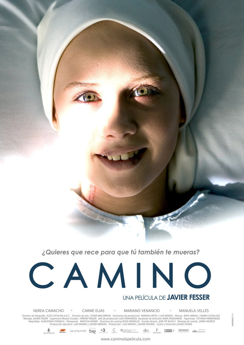 Poster of Camino - España