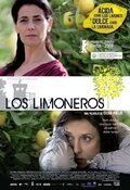 Poster Lemon Tree