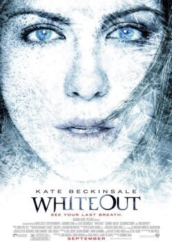 Poster Whiteout