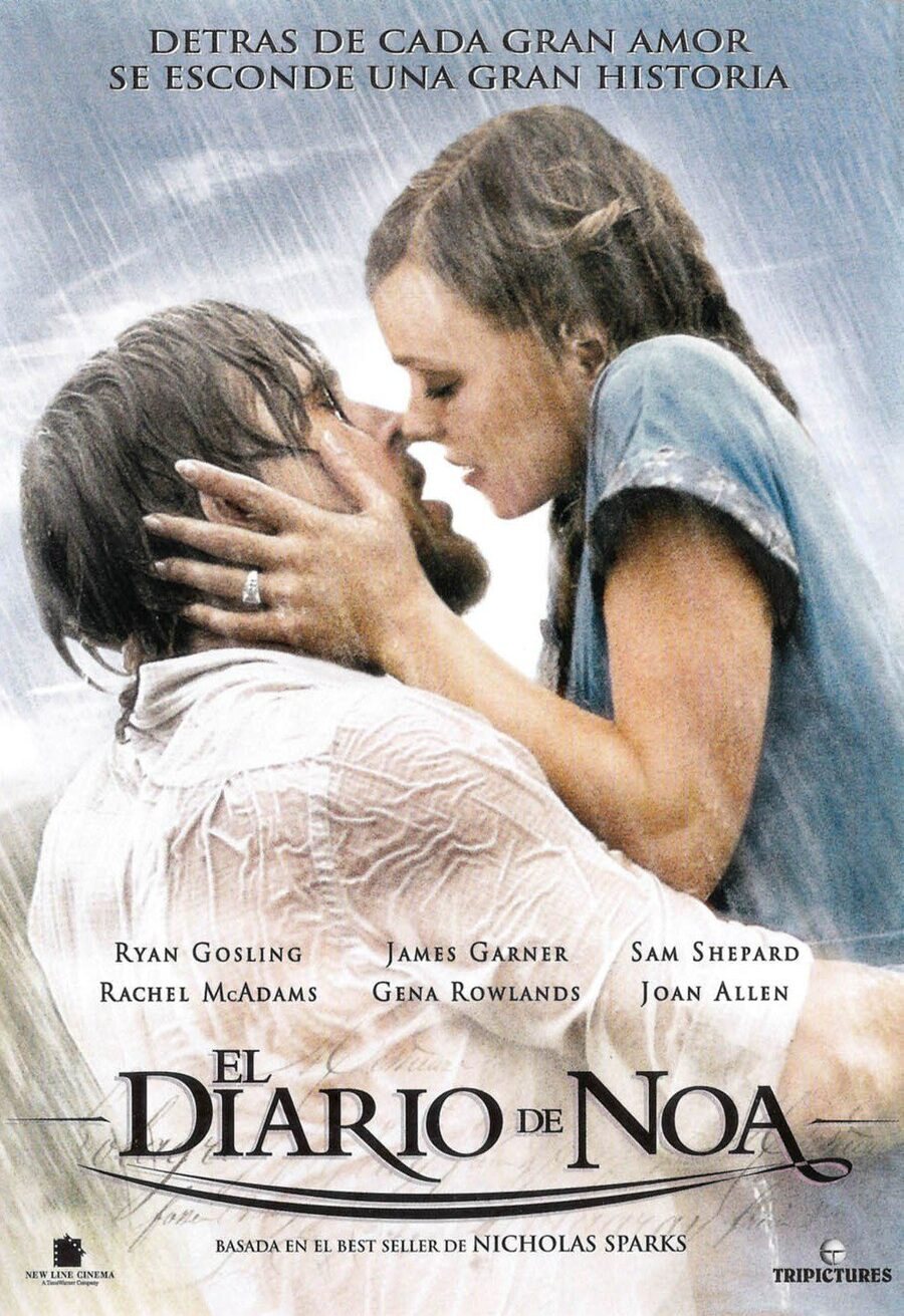 Poster of The notebook - España