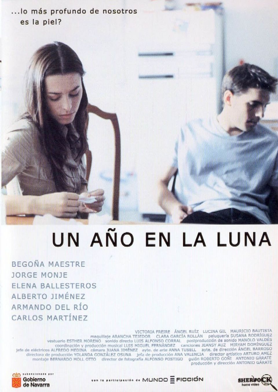 Poster of Un año en la Luna - España