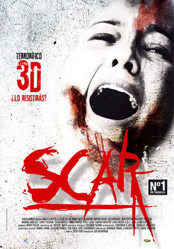 Poster Scar