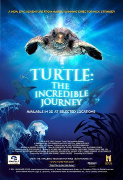 Poster Turtle: The Incredible Journey