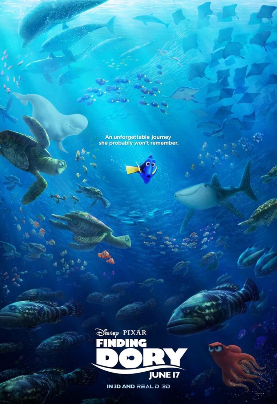 Poster of Finding Dory - Estados Unidos #7