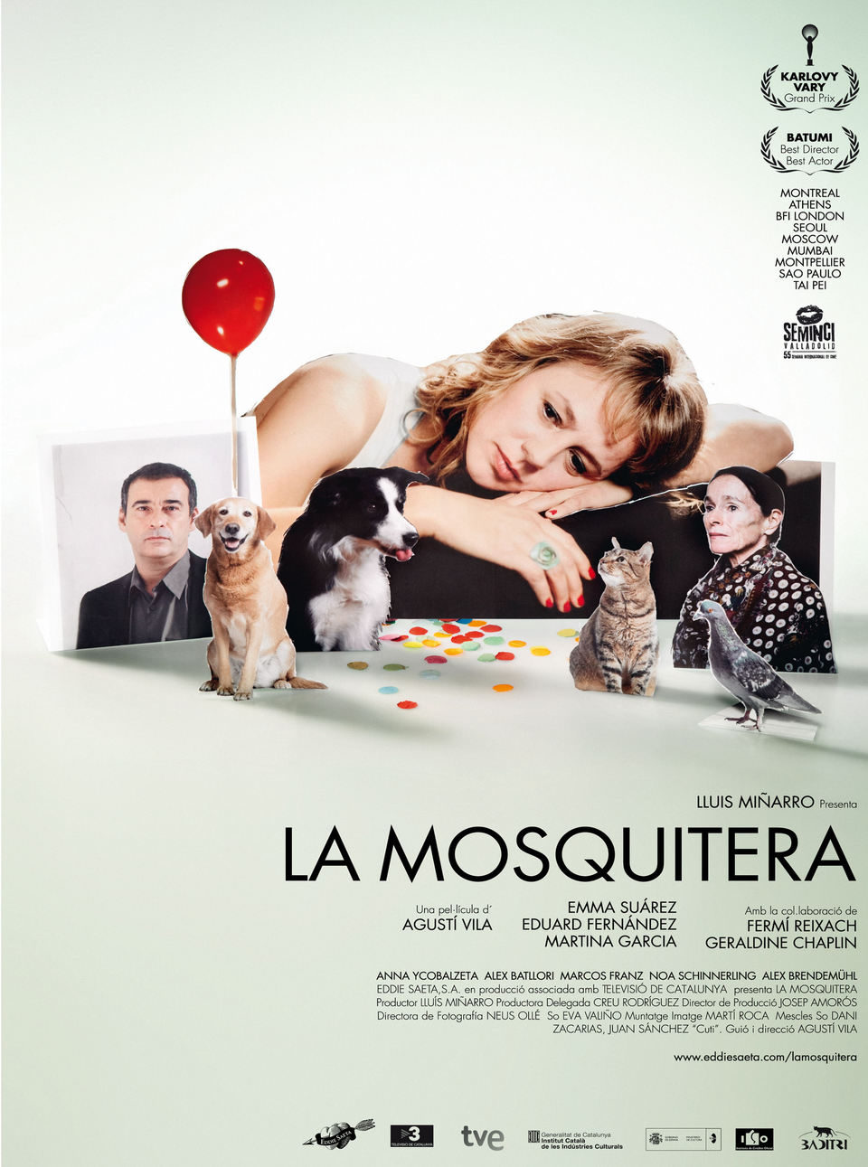 Poster of The Mosquito Net - España