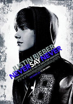 Never Say Never poster