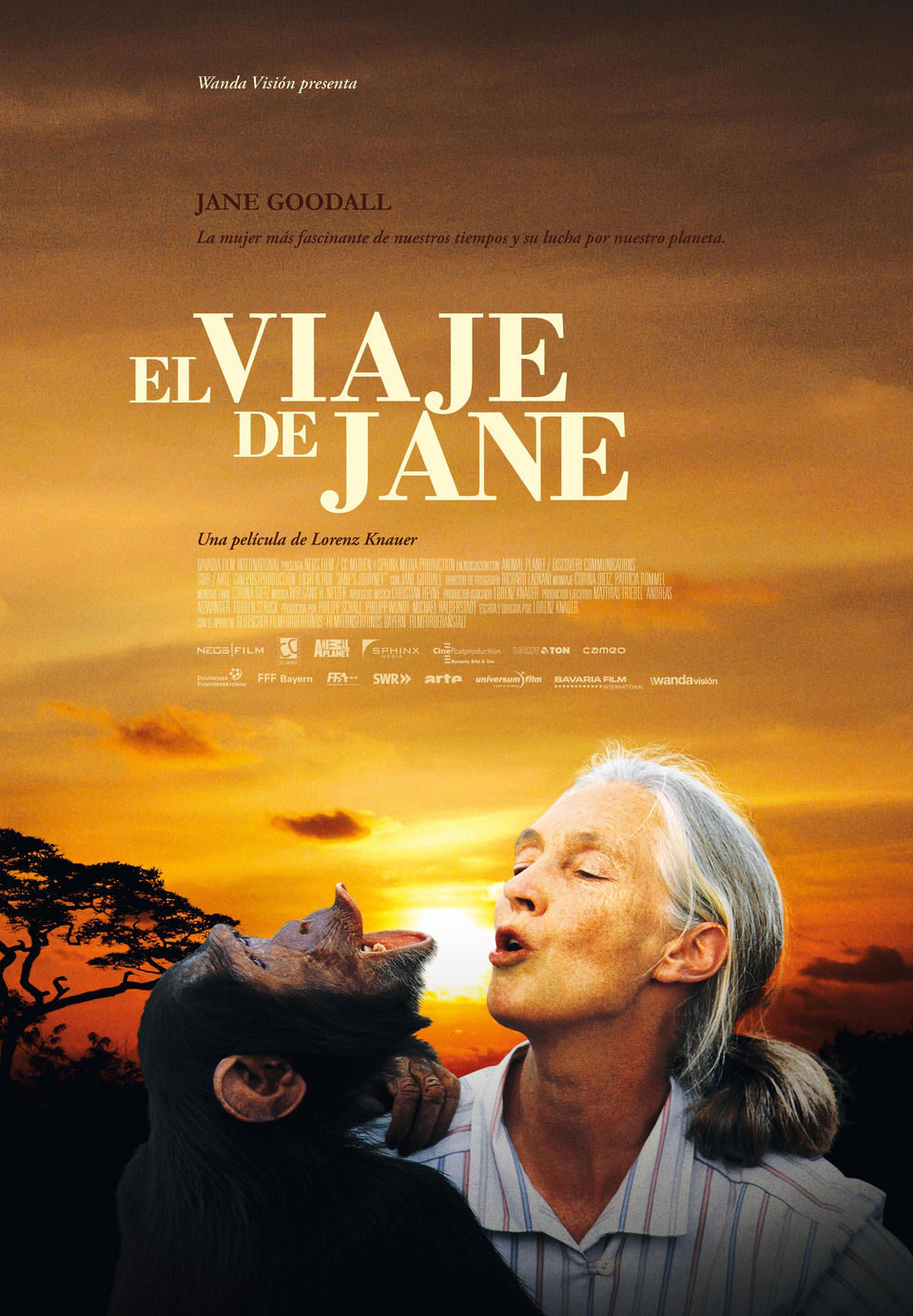 Poster of Jane's Journey - España
