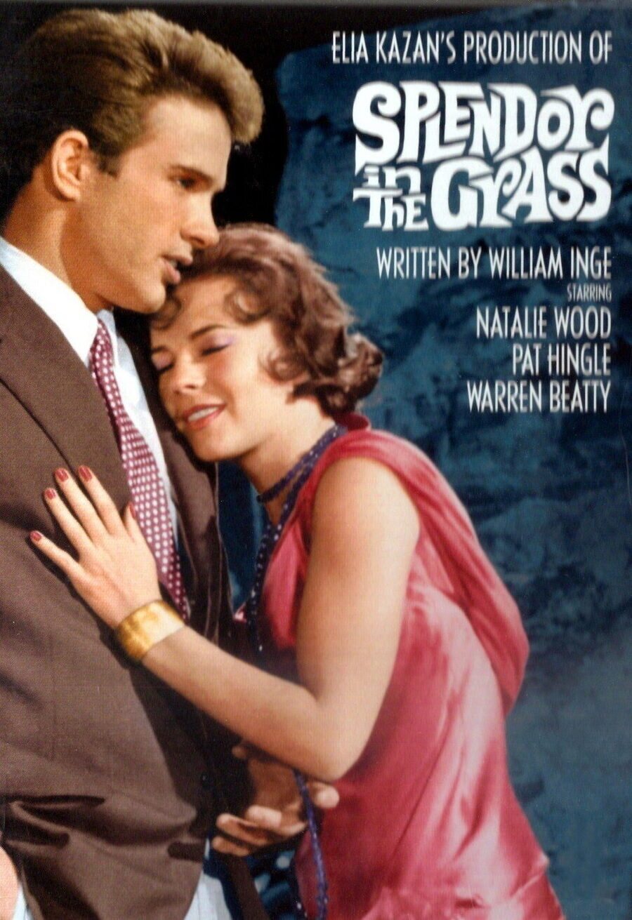 Poster of Splendor in the Grass - Estados Unidos