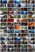 Poster The Tree of Life