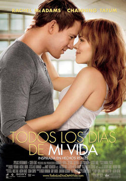 Poster The Vow