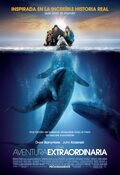 Big Miracle