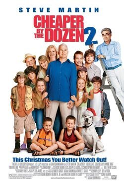 Poster Cheaper by the Dozen 2