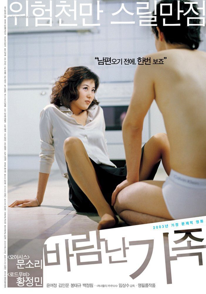 Poster of A Good Lawyer's Wife - Corea del Sur
