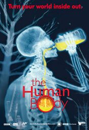 The Human Body