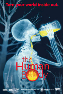 Poster The Human Body