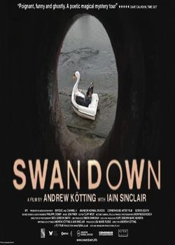 Poster Swandown