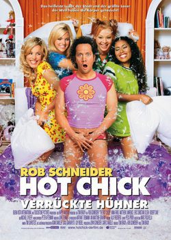 Poster The Hot Chick