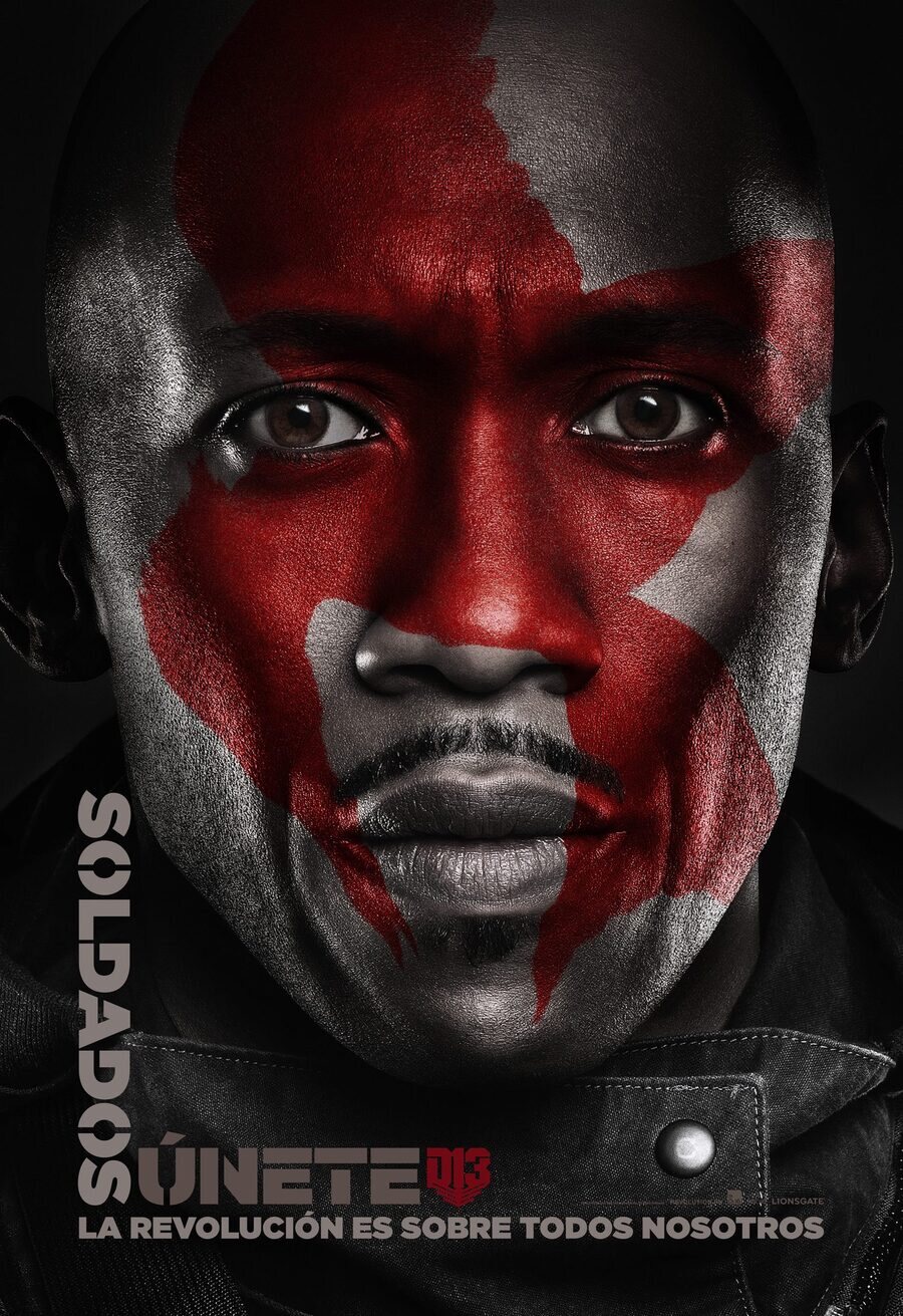 Poster of The Hunger Games: Mockingjay - Part 2 - Boggs