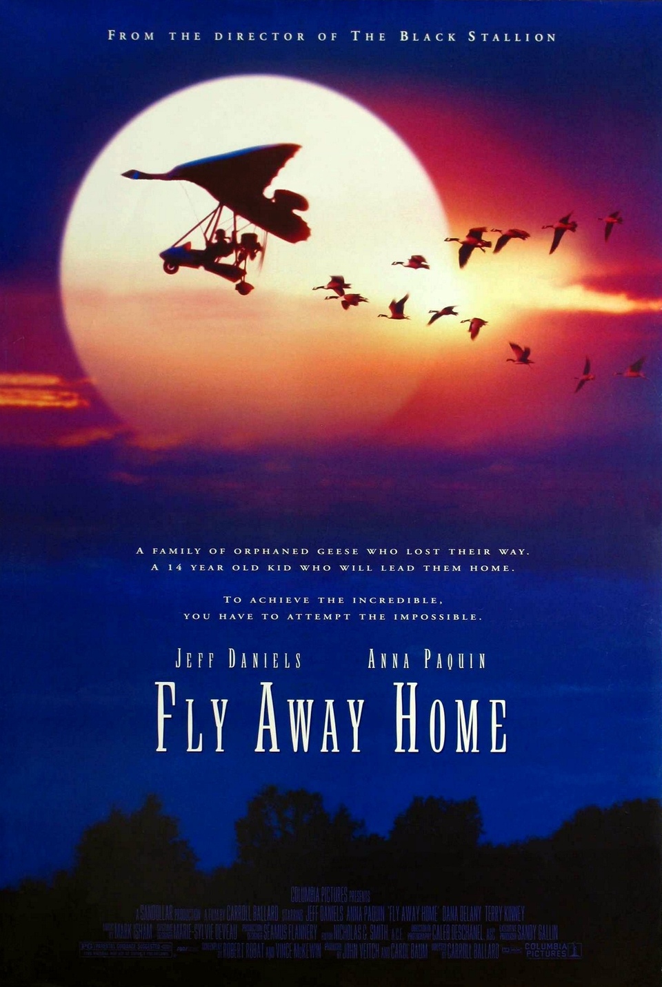 Poster of Fly Away Home - EEUU