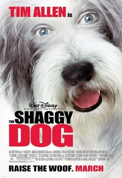 Poster The Shaggy Dog