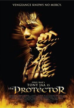 Poster The Protector