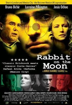 Rabbit on the Moon