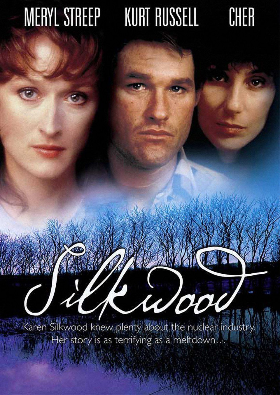 Poster of Silkwood - EEUU
