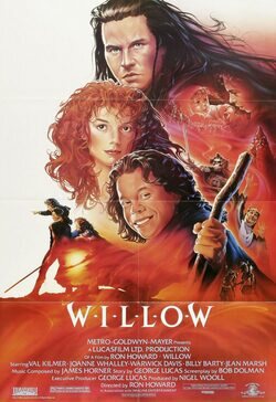 Poster Willow