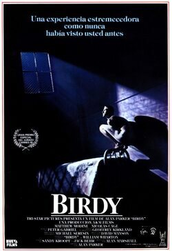 Poster Birdy