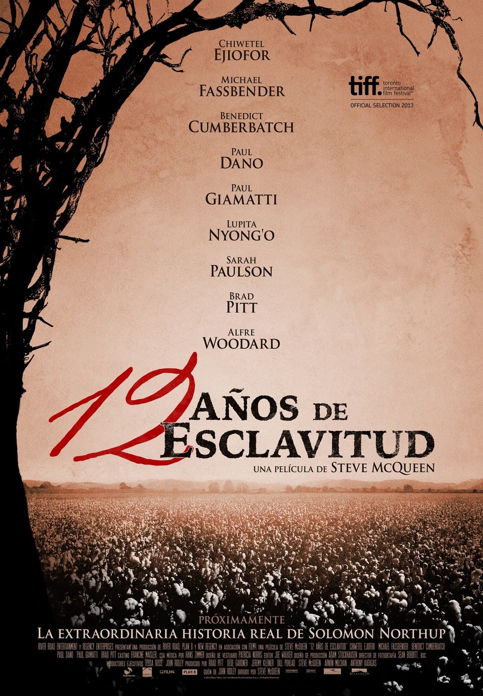 Poster of Twelve Years a Slave - España