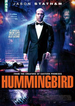 Poster Hummingbird