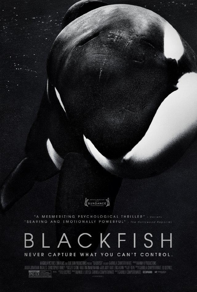 Poster of Blackfish - EEUU