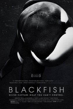 Poster Blackfish