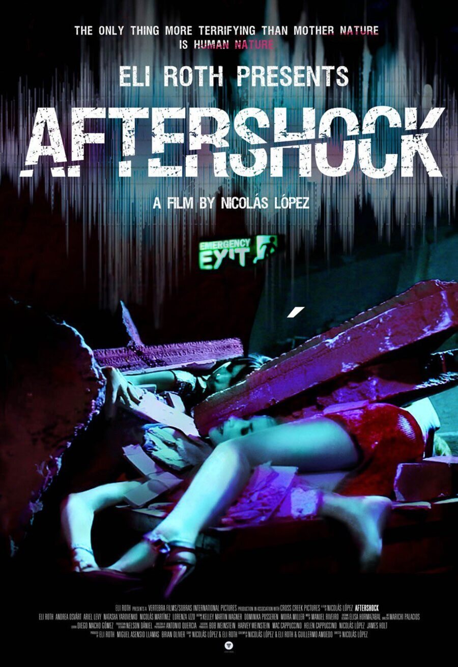 Poster of Aftershock - EEUU