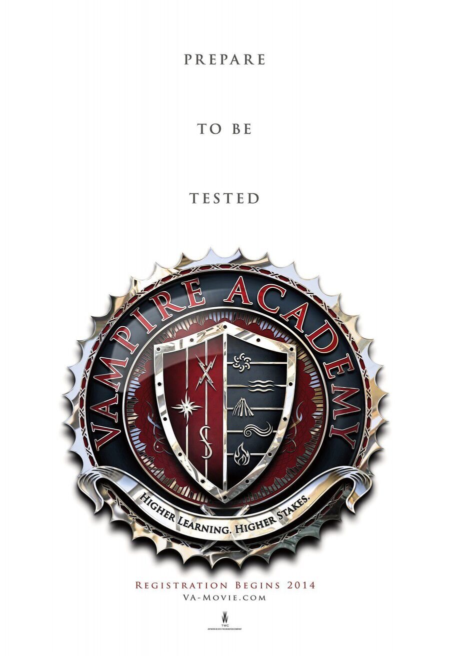 Poster of Vampire Academy - Estados Unidos