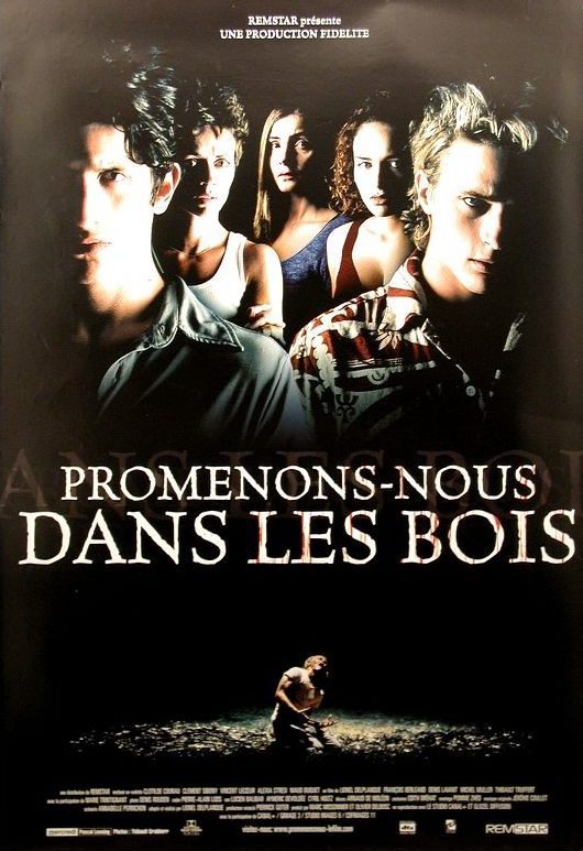 Poster of Deep in the Woods - Francia