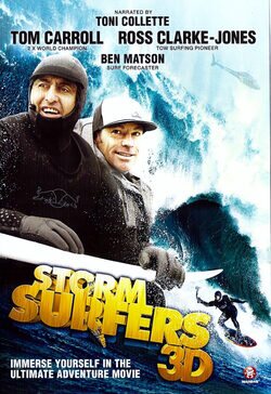 Poster Storm Surfers 3D