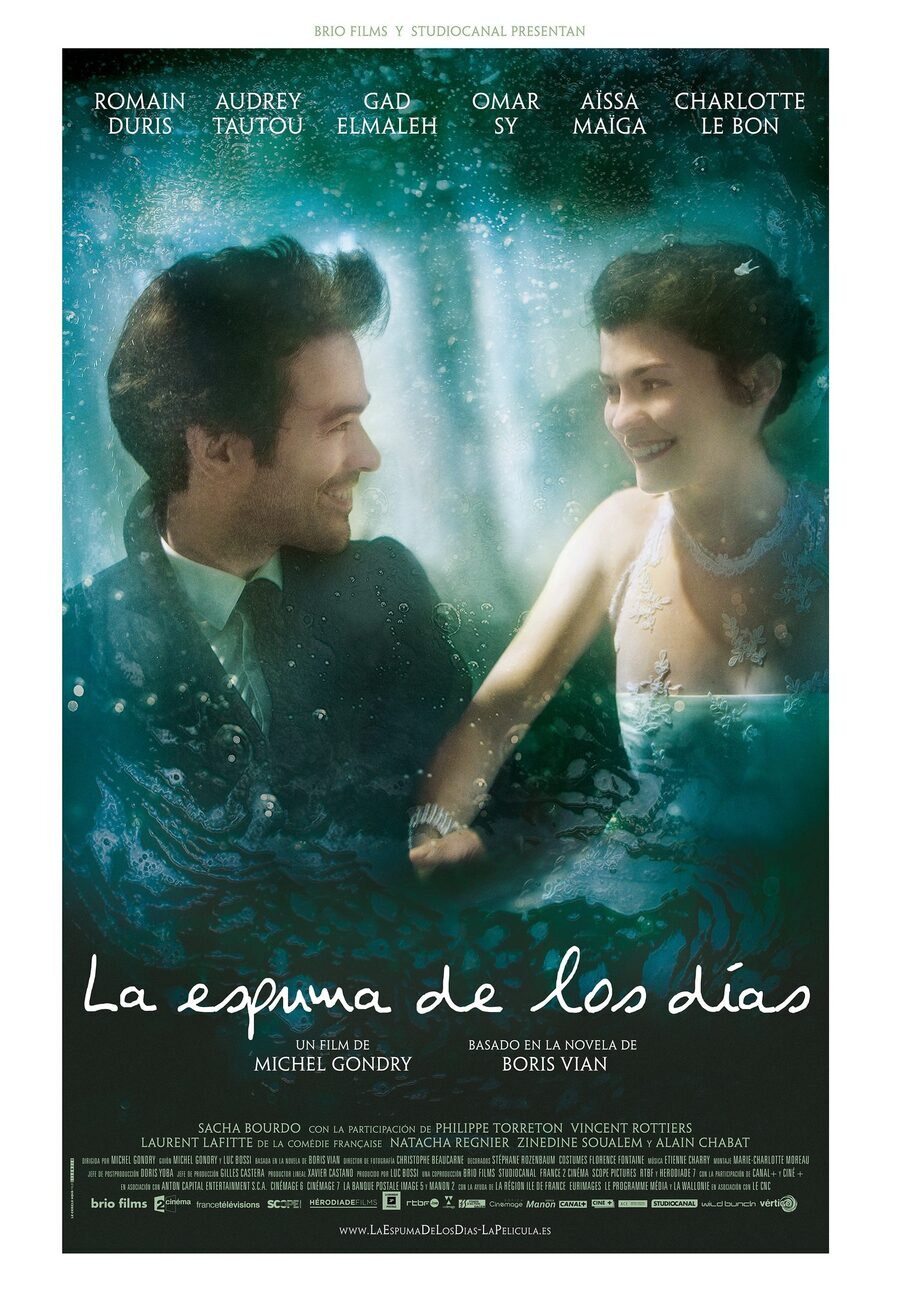 Poster of Mood Indigo - España