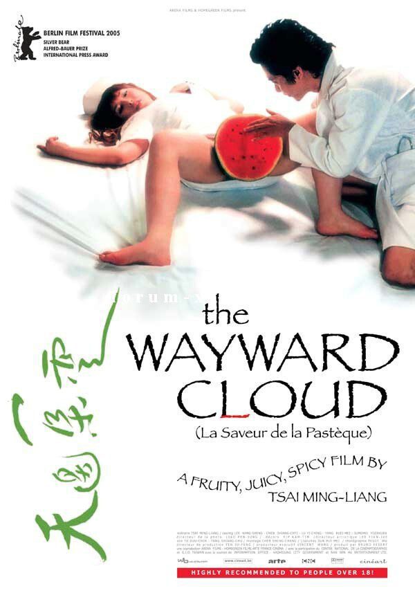 Poster of The Wayward Cloud - Francia