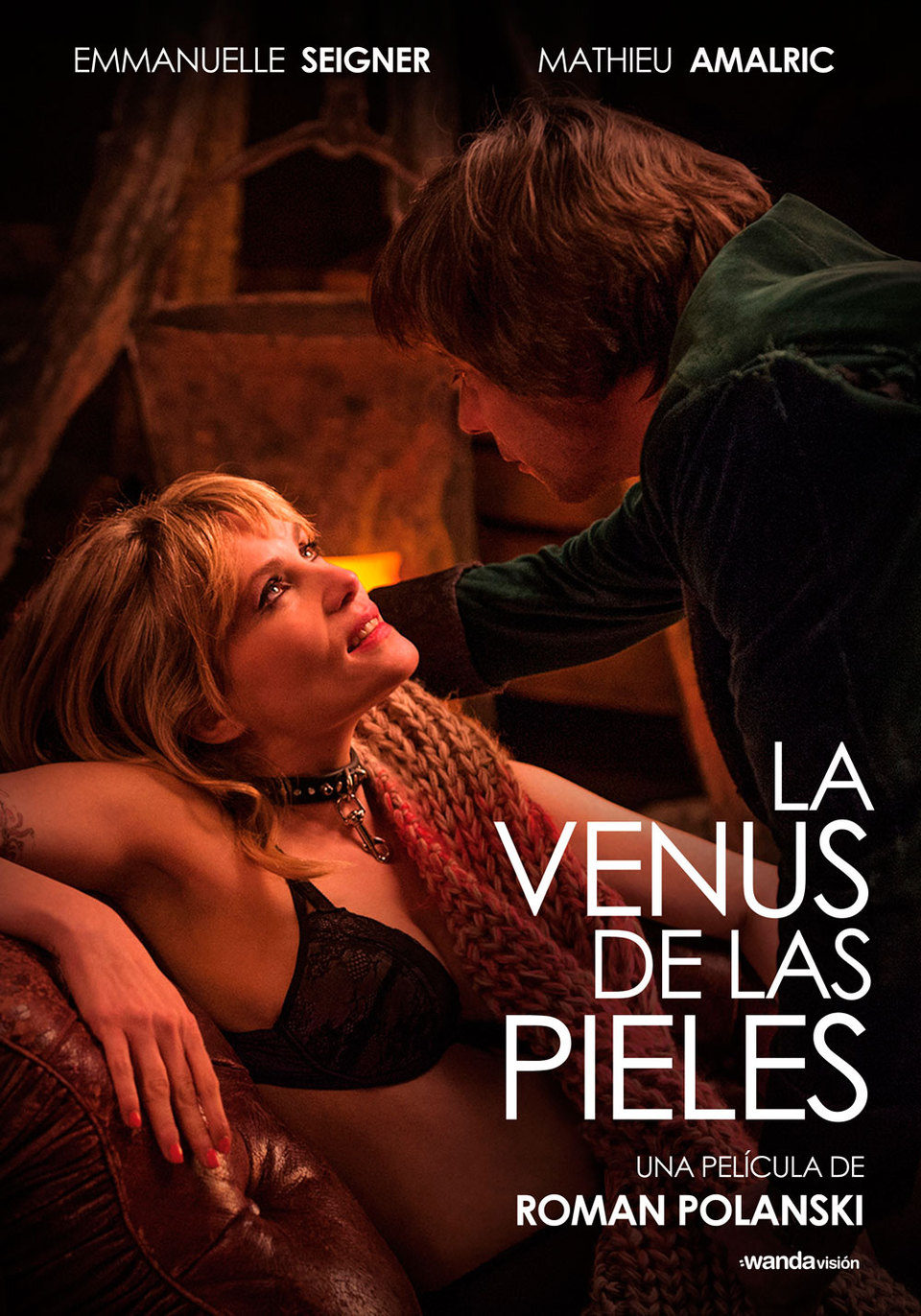 Poster of Venus in Fur - España