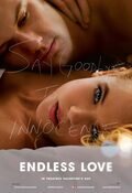 Poster Endless Love