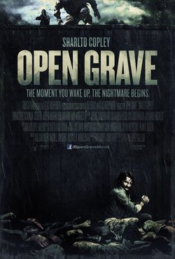 Poster Open Grave