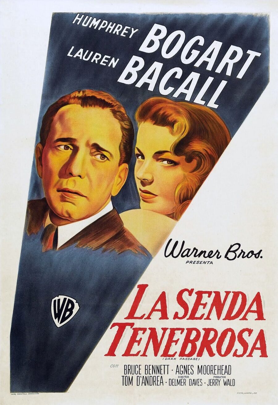 Poster of Dark Passage - España