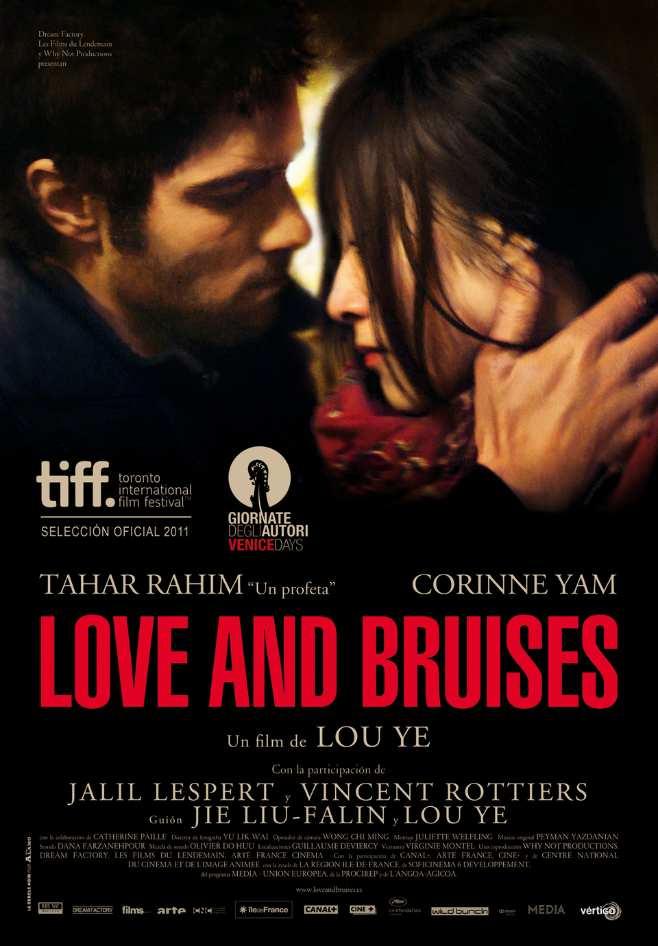 Poster of Love and Bruises - España