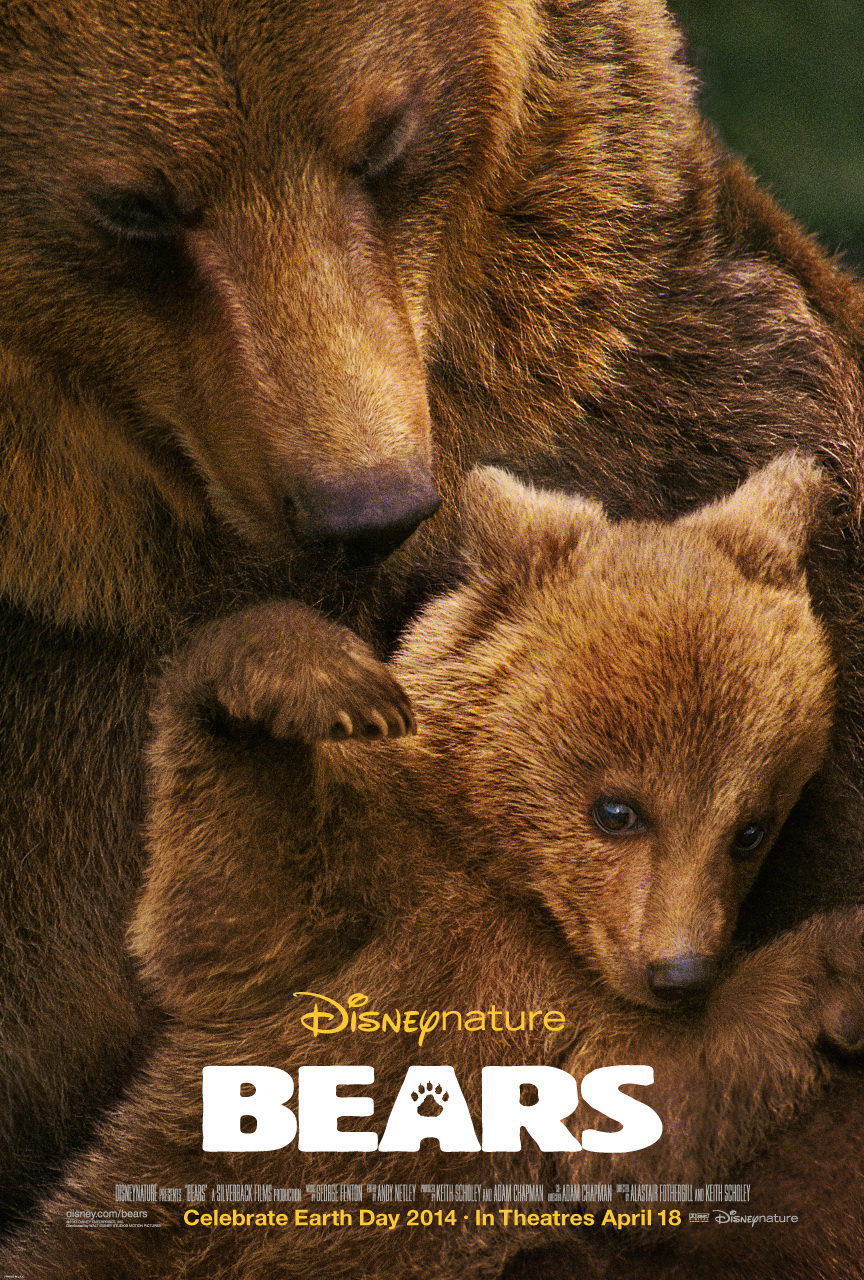 Poster of Bears - Estados Unidos